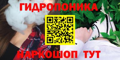 мдма Новодвинск