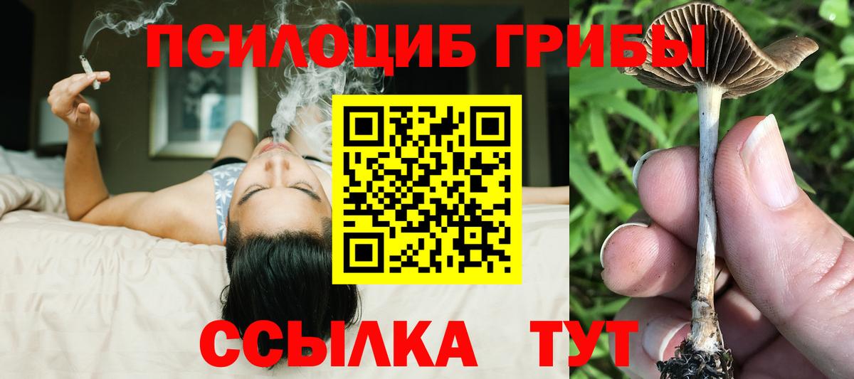 Азнакаево  Псилоцибиновые грибы мухоморы  Вход с VPN 